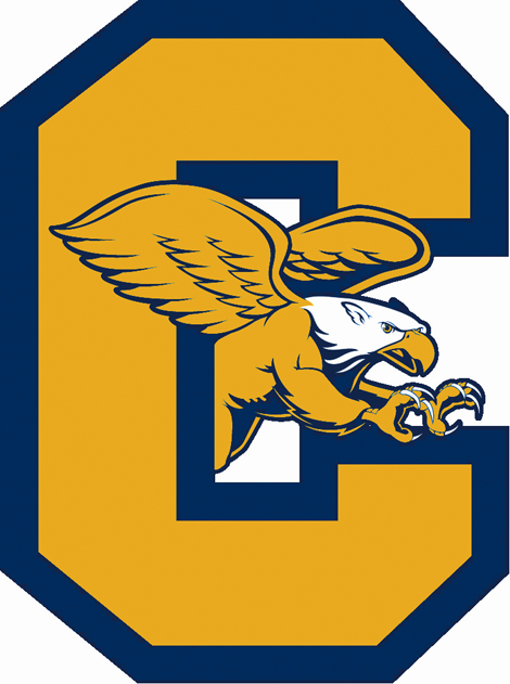 Canisius Golden Griffins T shirt DIY iron-ons